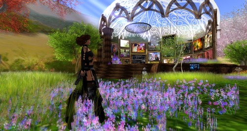 Web 517f1c288d8451212a000001