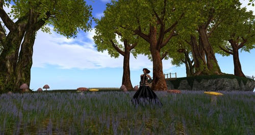 Web 5180982c732fec6b82000001