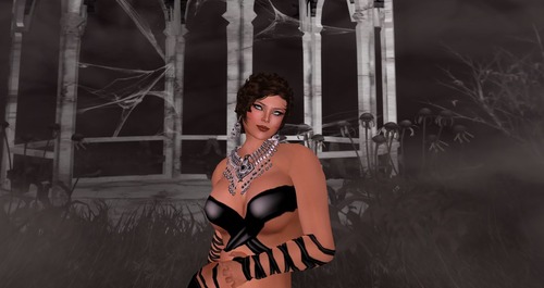 Web 519d0b49355a1a4127000001