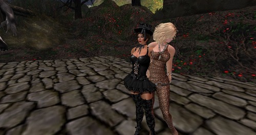 Web 51abdf3dbd0b8e5b95000001