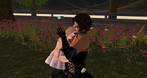 Web 51ad4d135035464a50000001