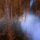 Thumb 55c65f9ef8a1ec0211000001