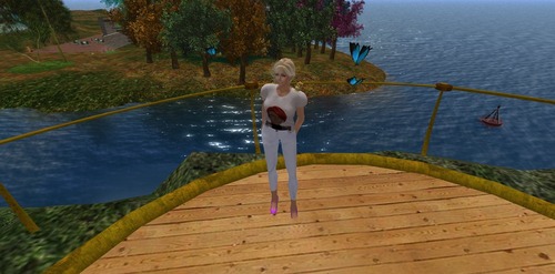 Web 54039adea73e213172000001