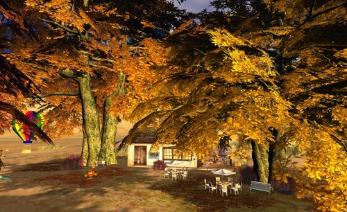 Web 5071d0affbbb806b73000001