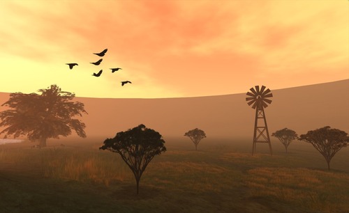 Web 5071d265c73010064a000001