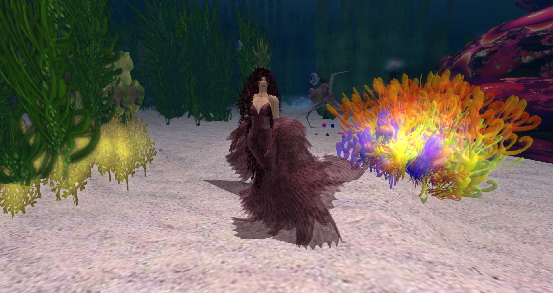 Original 51f54420c631642d08000001