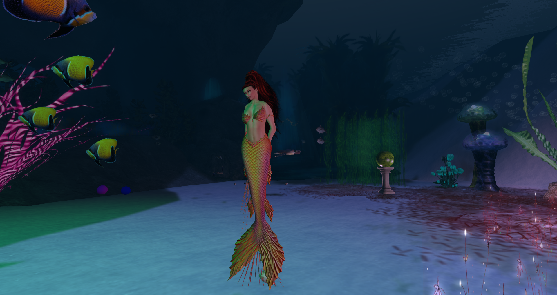 Original 55b3a842a73e2107e4000001