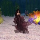 Thumb 51f54420c631642d08000001