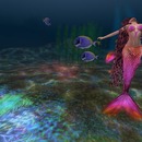 Thumb 53472479a73e214e84000001