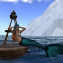 Thumb 55a98f828da572393e000001