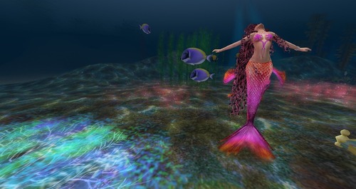 Web 53472479a73e214e84000001