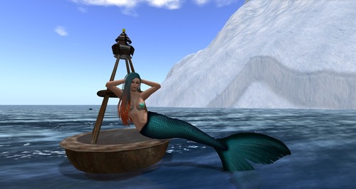 Web 55a98f828da572393e000001