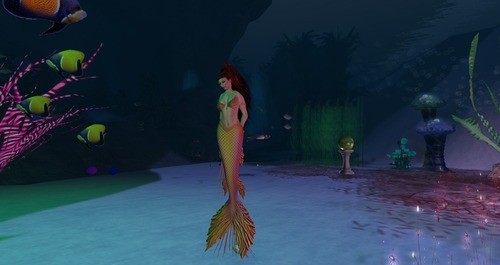 Web 55b3a842a73e2107e4000001