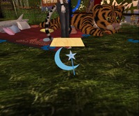 Small 518155f6fd449a73df000001