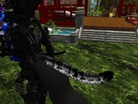 Small 519b0ef011fb356822000001