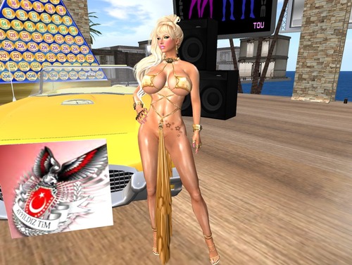 Web 522e3d6e5469926a2c000001