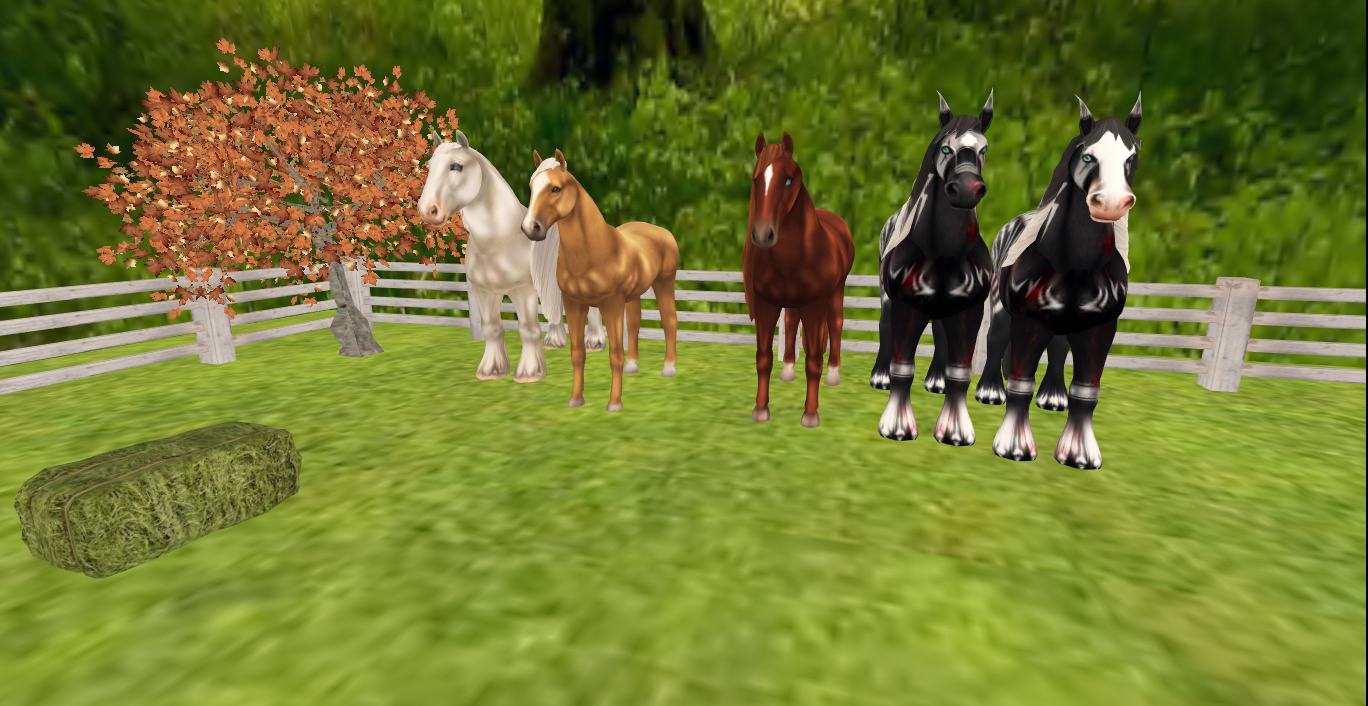 Original 5c3dd6f3d774f83f70000001