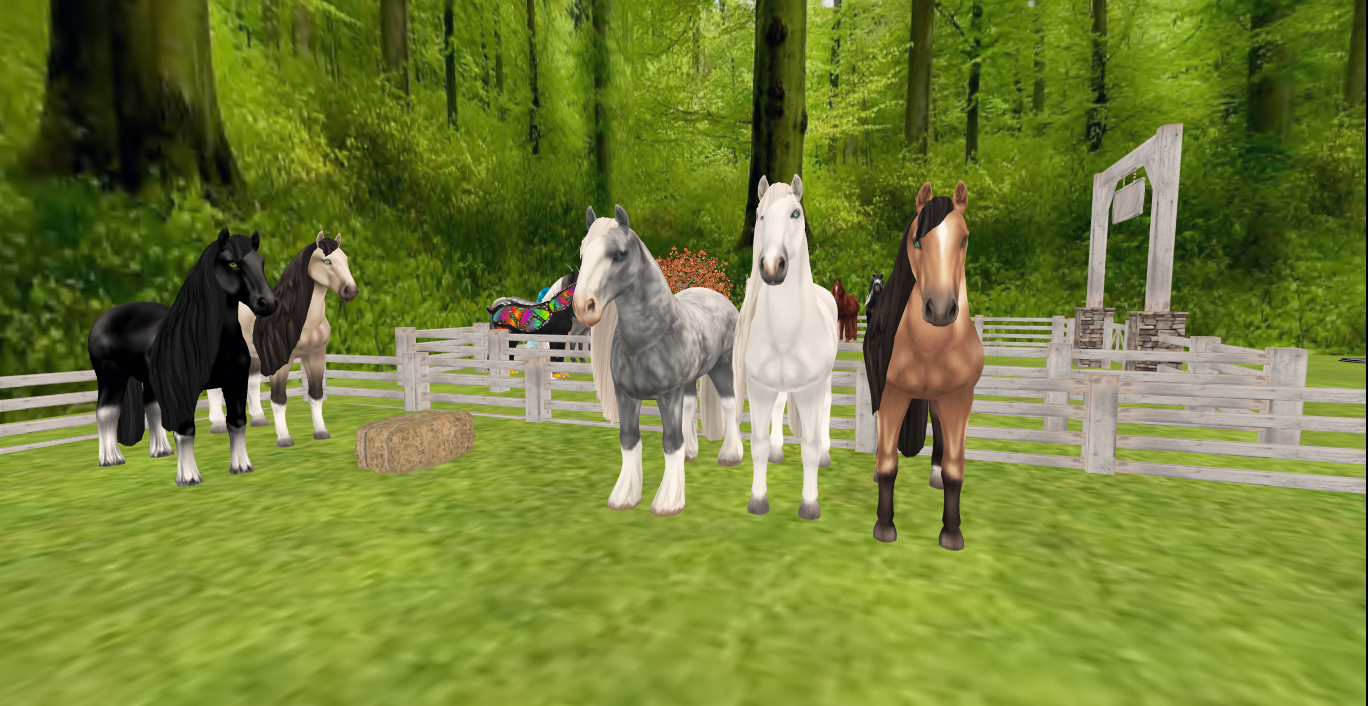 Original 5c3dd750d9859c2448000001