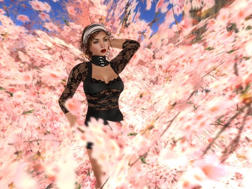 Web 549ce2a8a73e214576000001