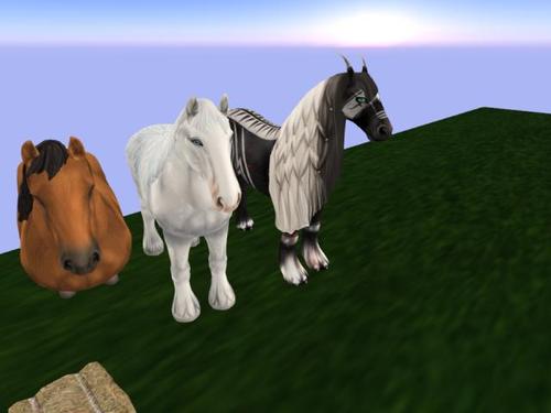 Web 5be34beb73ed176a72000001