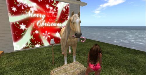 Web 5c20f05dd9859c666d000001