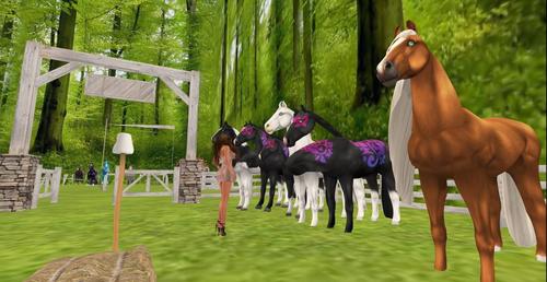 Web 5c3dd5d4d9859c1c02000001