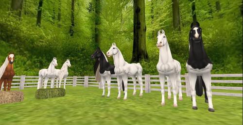 Web 5c3dd60973ed17473d000001