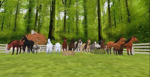 Web 5c3dd627d9859c1e73000001