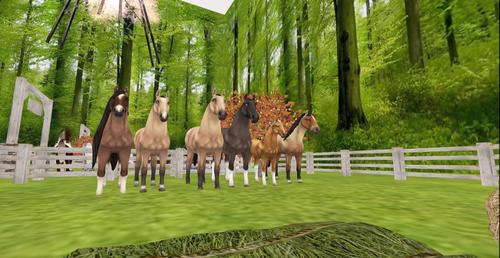 Web 5c3dd642289dd275fe000001