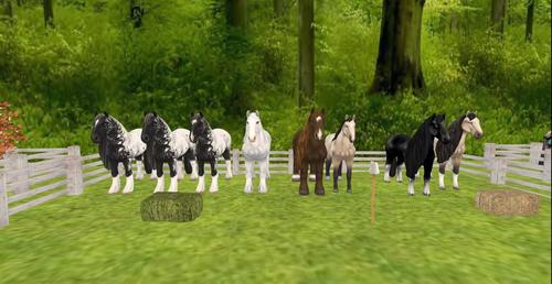 Web 5c3dd727d774f84210000001