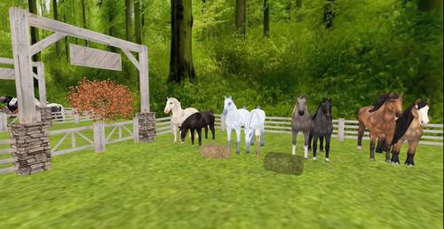 Web 5c3dd77a289dd27ee3000001