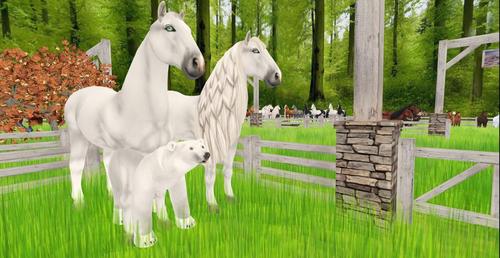 Web 5c57476fd9859c580c000001