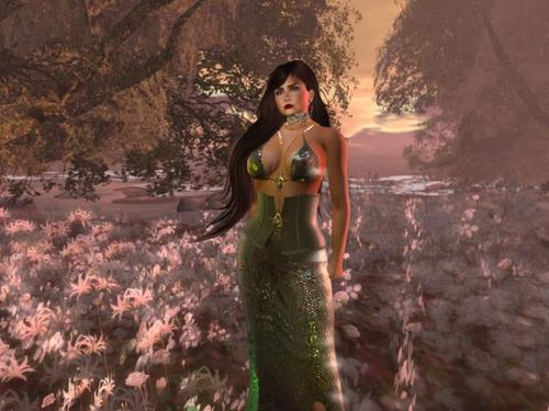 Web 5cdf209373ed177f95000001