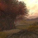 Thumb 560bafa2128cc91d36000001