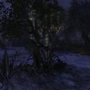 Thumb 5ecb2a35d9859c7383e2ea6a