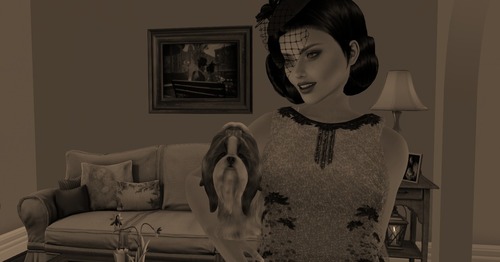 Web 576585a3b713f704a8000001