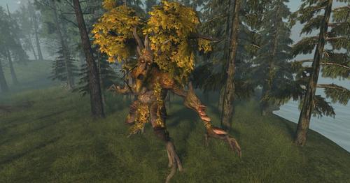 Web 59288ecc289dd2388b000001