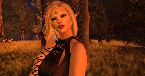 Web 5a805a51d9859c2129000001