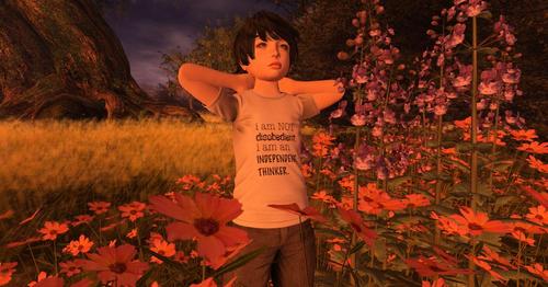 Web 5a9b2d27d774f83905000001