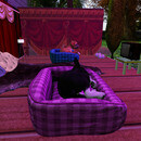 Thumb 6725b1a441a8f336b861888a