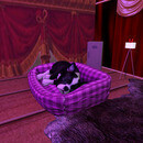 Thumb 6725b1ae24f12b1eabc59649