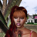 Thumb 672a595d6a4ea504425fc270