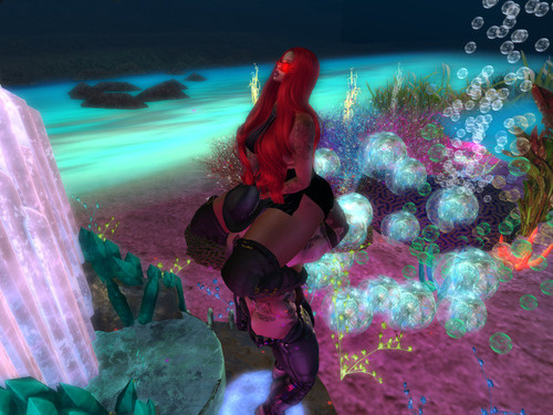 Web 65d8d15ebe672a0499264780