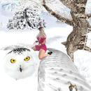 Thumb 60c01056c5c1f76dea963df4