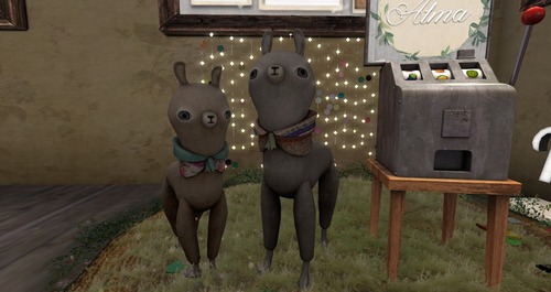 Web 543d412f8da5722e21000001