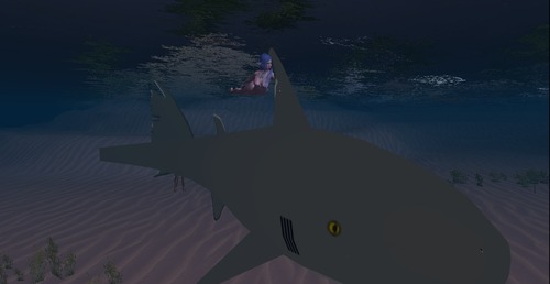 Web 5440c198f8a1ec18f1000001