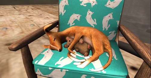 Web 5443556da73e214a12000001