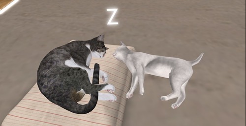 Web 55f0f83b128cc90db9000001