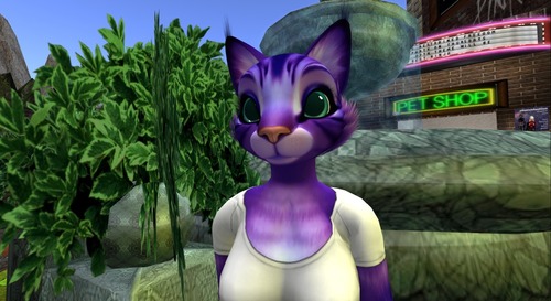 Web 51cb91e5dc8de718d2000001