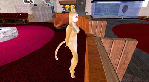 Web 51d68cddd62cad17db000001